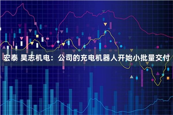 宏泰 昊志机电：公司的充电机器人开始小批量交付