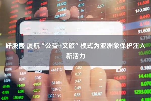 好股盛 厦航“公益+文旅”模式为亚洲象保护注入新活力